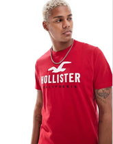 HOLISTER TSHIRT