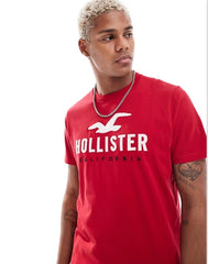 HOLISTER TSHIRT